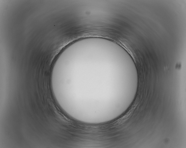 X0000091550301200708171046