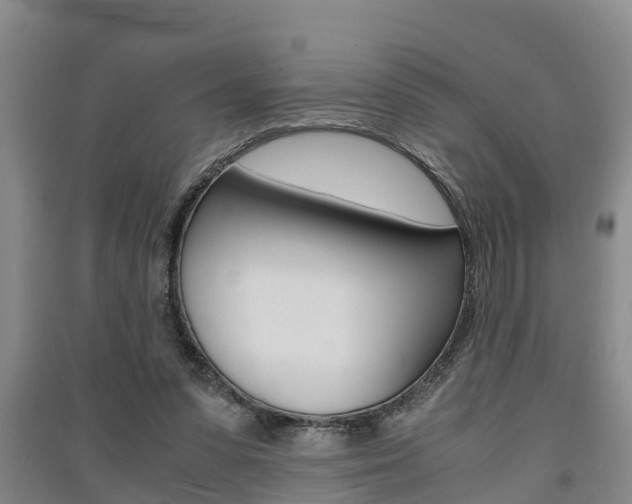 X0000091550303200708171046