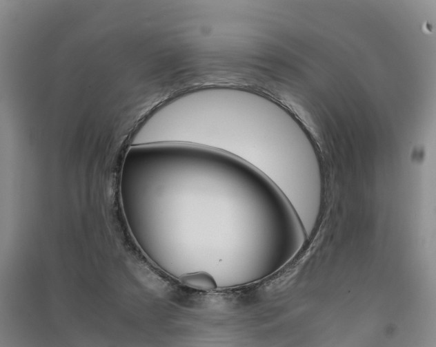 X0000091550305200708171046