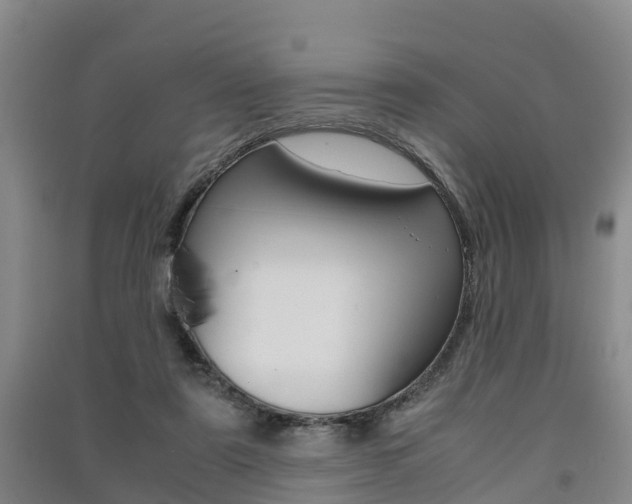 X0000091550307200708171046