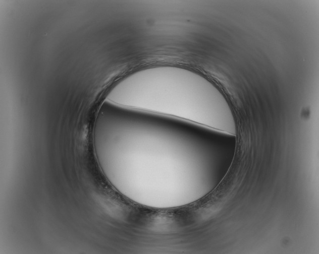 X0000091550308200708171046