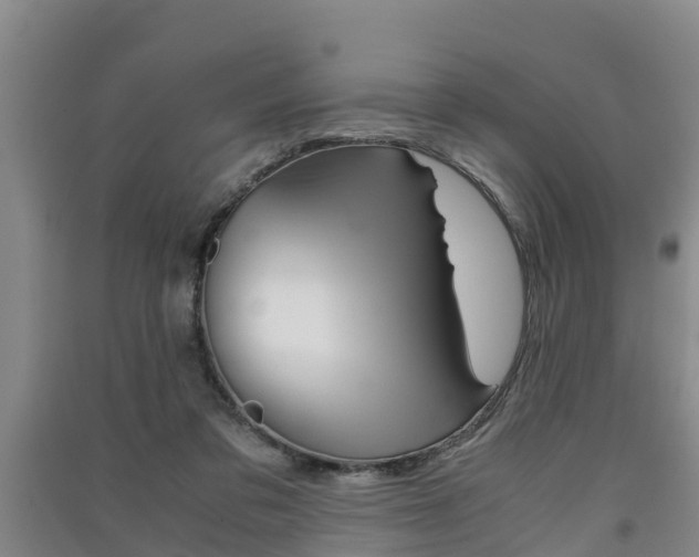 X0000091550309200708171046
