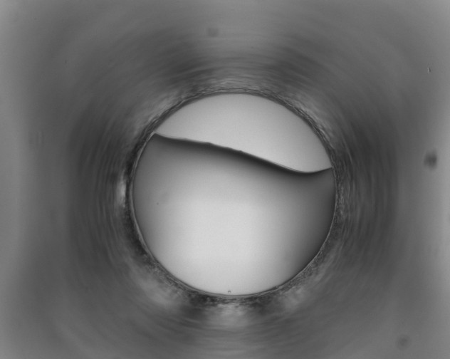 X0000091550310200708171046