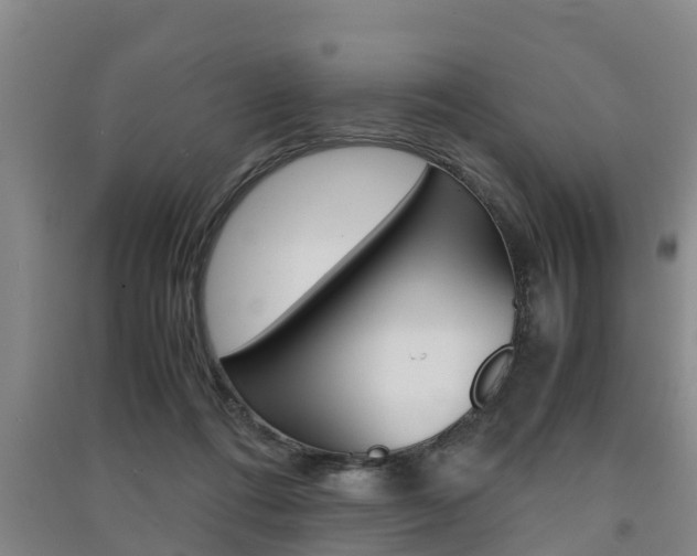X0000091550312200708171046
