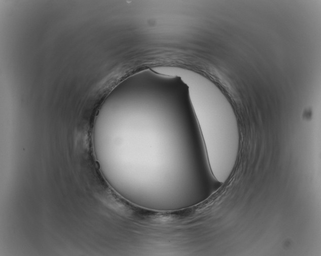 X0000091550313200708171046