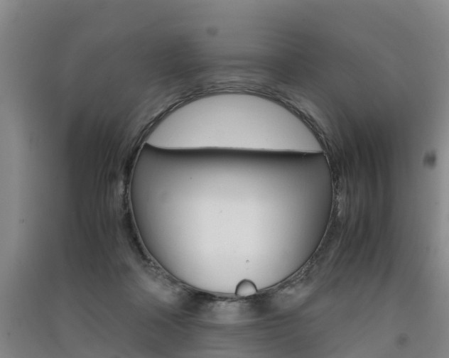 X0000091550314200708171046