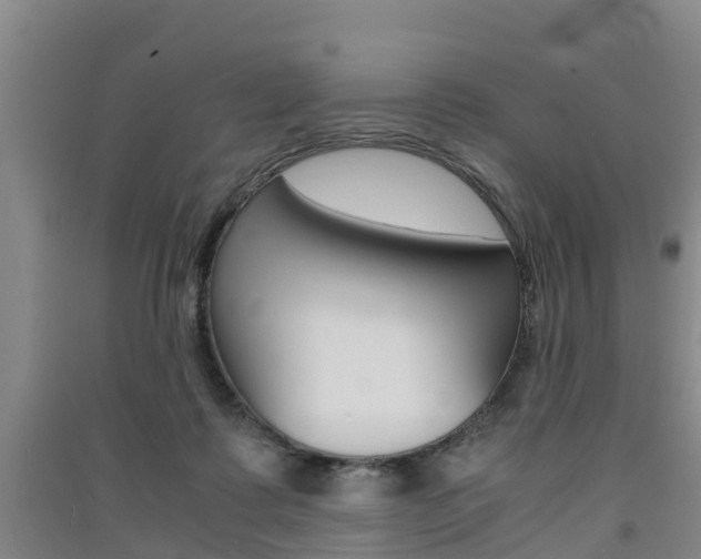 X0000091550315200708171046