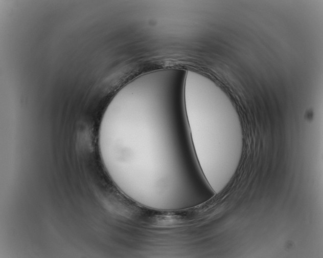 X0000091550316200708171046