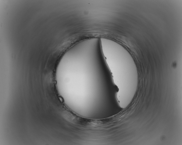 X0000091550317200708171046