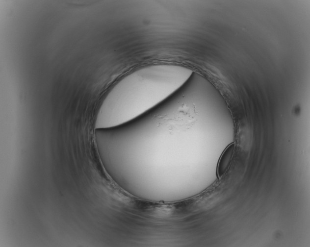 X0000091550318200708171046