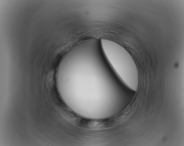 X0000091550319200708171046