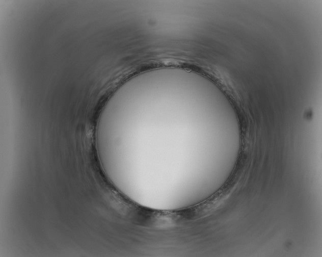X0000091550321200708171046