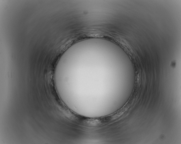 X0000091550322200708171046