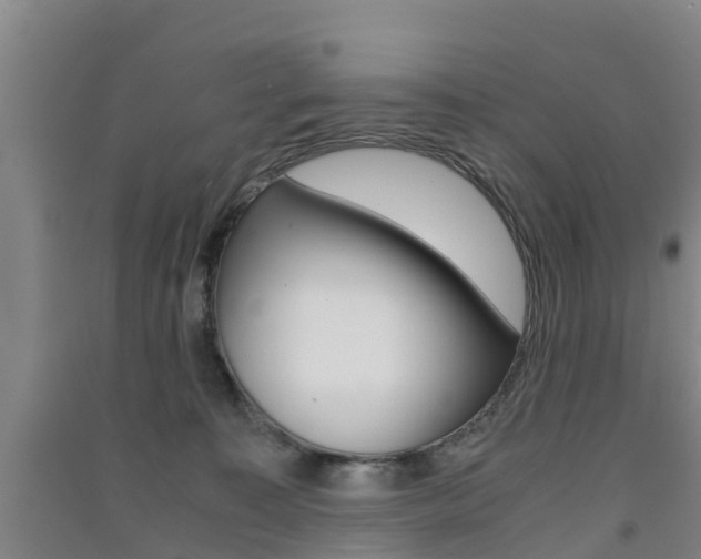 X0000091550323200708171046