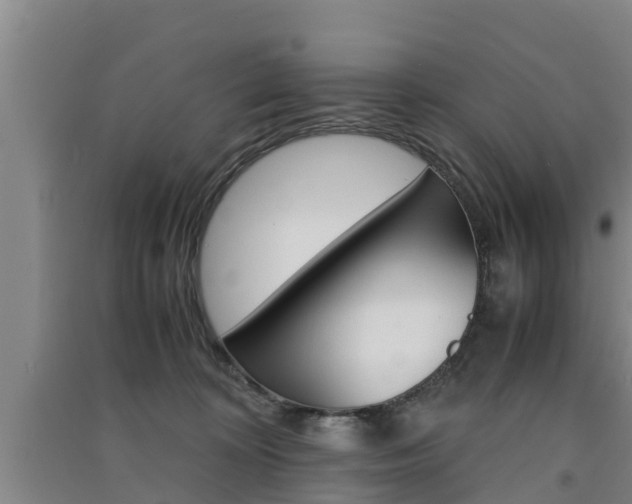 X0000091550324200708171046