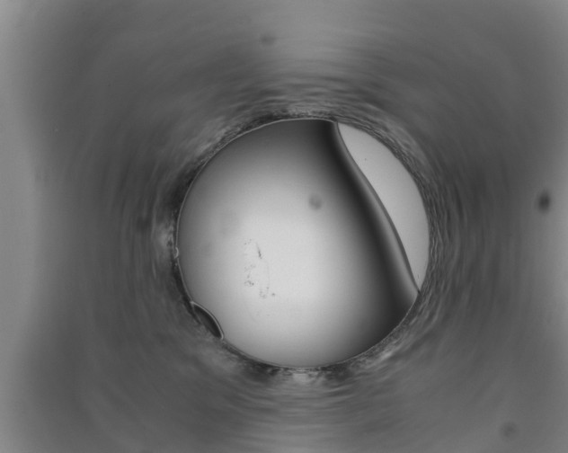 X0000091550329200708171046