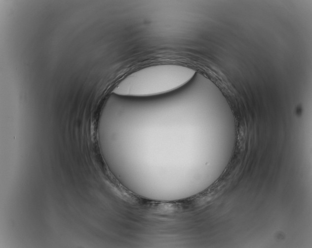 X0000091550330200708171046