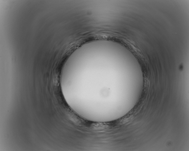 X0000091550331200708171046