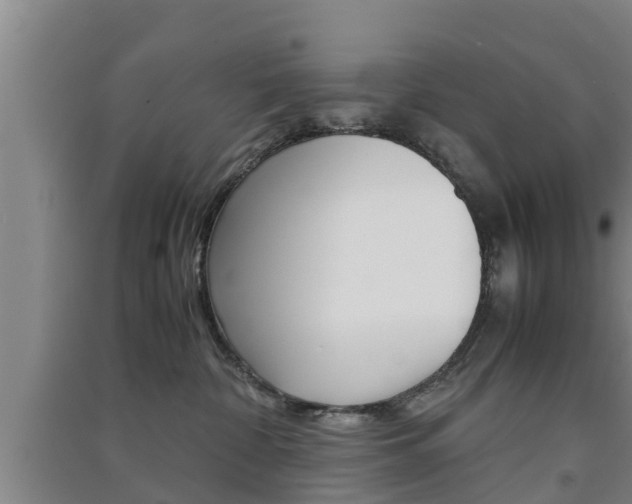 X0000091550332200708171046