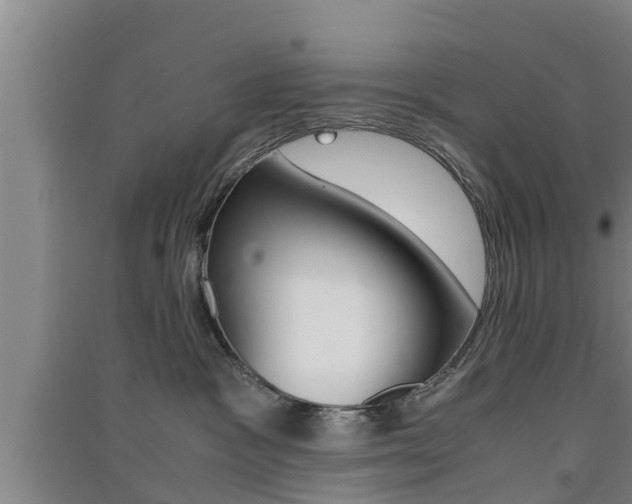 X0000091550333200708171046