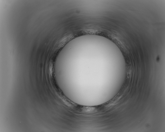 X0000091550334200708171046