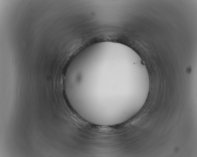 X0000091550336200708171046