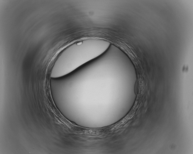 X0000091550338200708171045