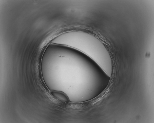 X0000091550341200708171045