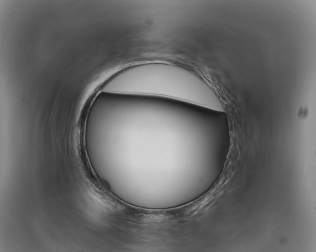 X0000091550342200708171045