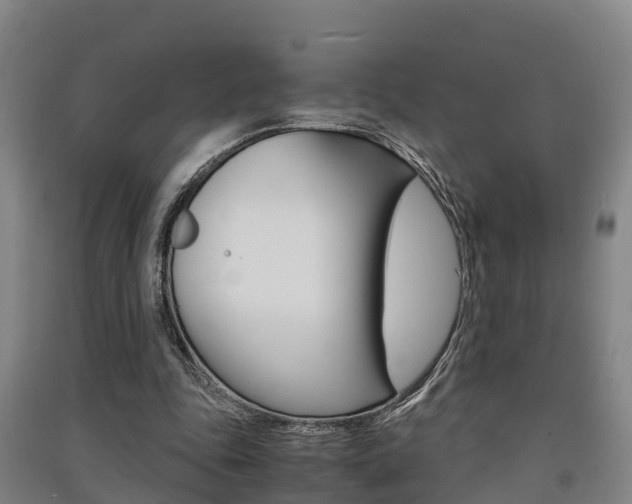 X0000091550343200708171045