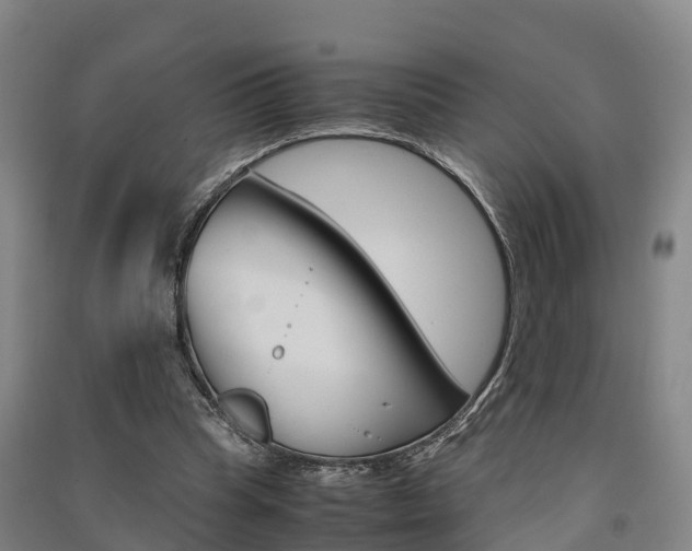 X0000091550345200708171045