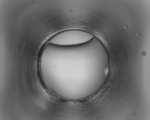 X0000091550346200708171045
