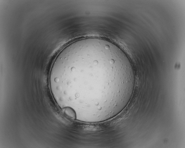 X0000091550347200708171045