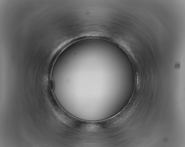 X0000091550348200708171045