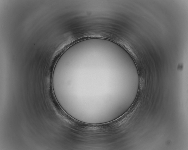 X0000091550349200708171045