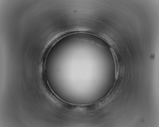 X0000091550350200708171045