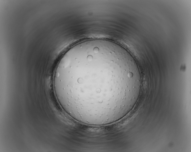 X0000091550351200708171045