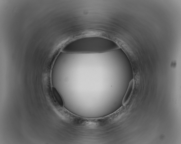 X0000091550352200708171045