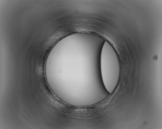 X0000091550353200708171045
