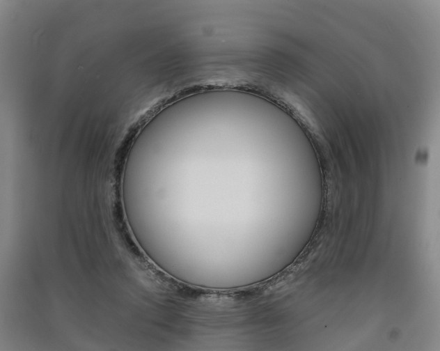X0000091550354200708171045