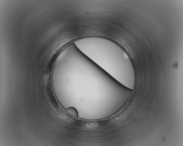 X0000091550355200708171045