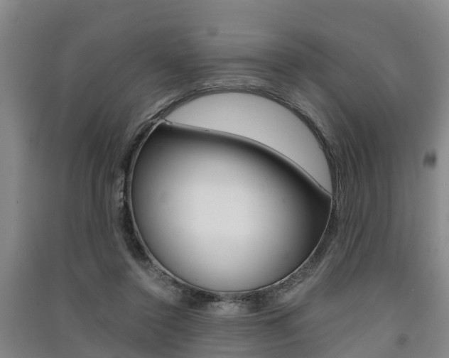 X0000091550356200708171045