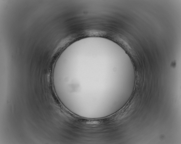 X0000091550357200708171045