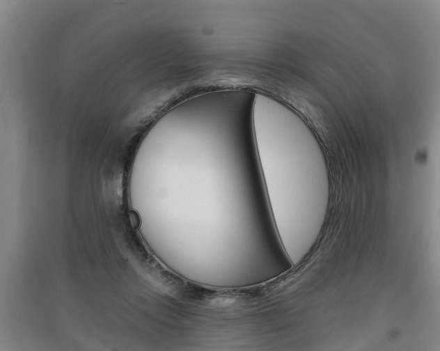 X0000091550358200708171045