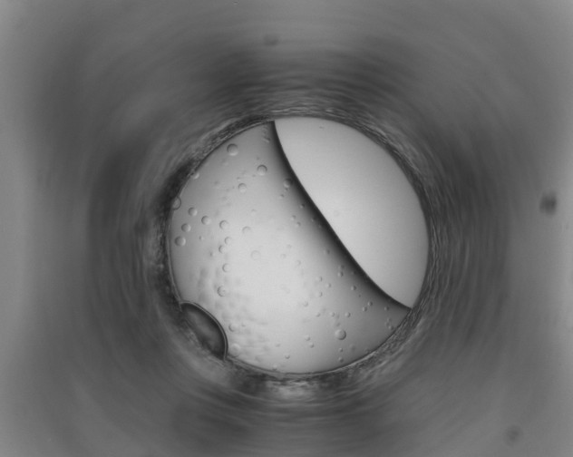 X0000091550359200708171045