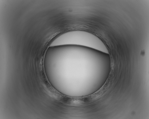 X0000091550360200708171045