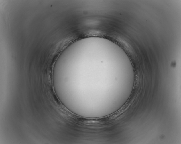 X0000091550361200708171045