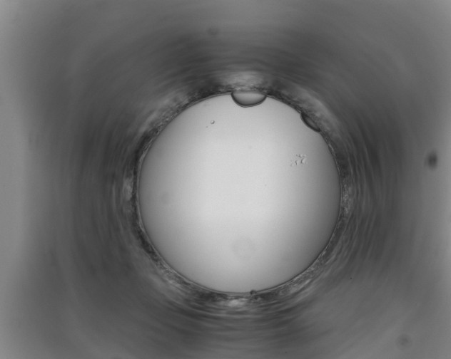X0000091550365200708171045