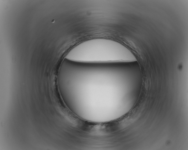 X0000091550366200708171045