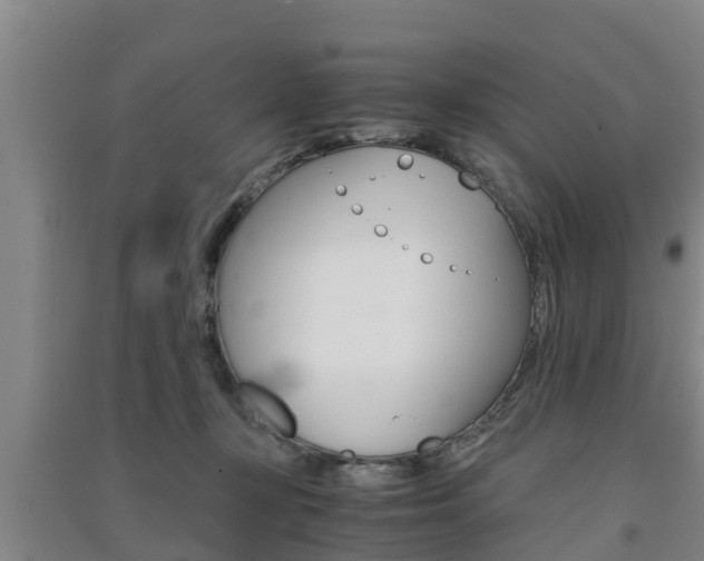 X0000091550367200708171045
